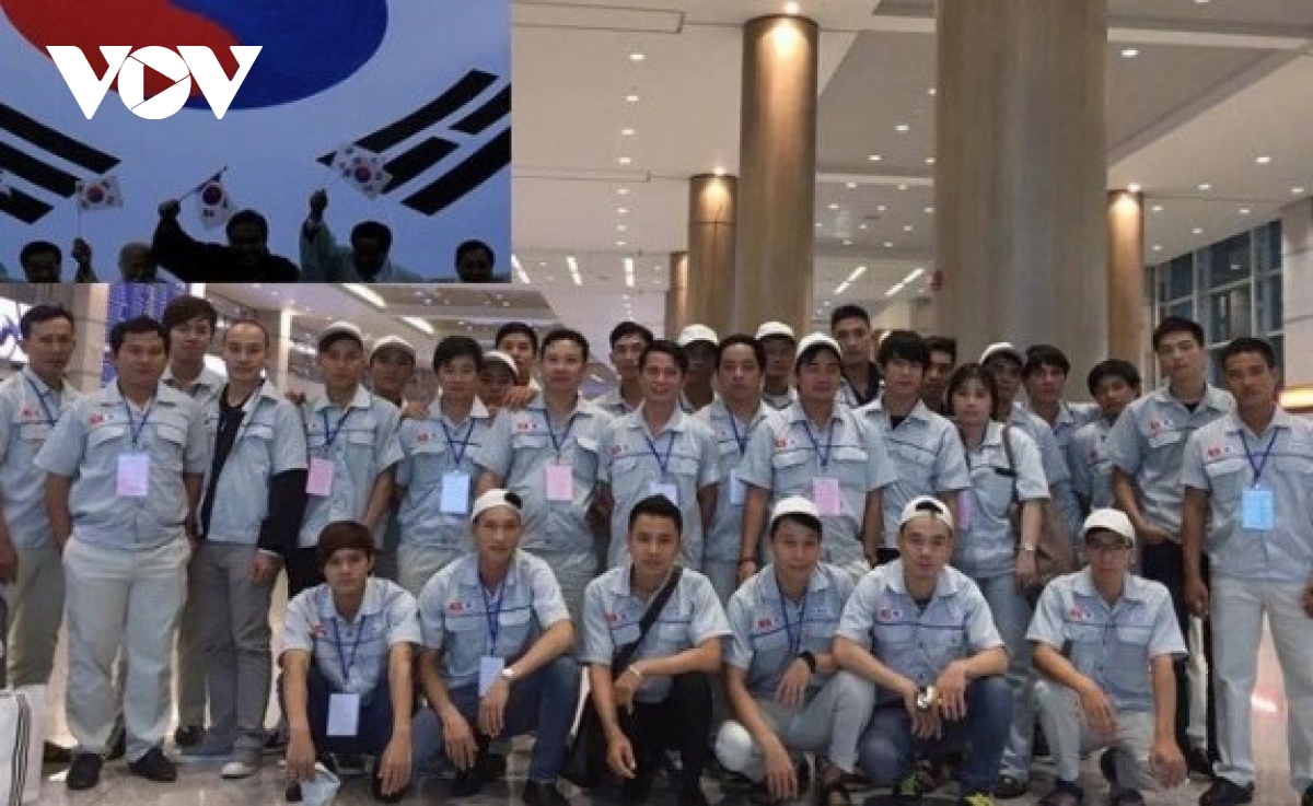 Vietnamese workers in RoK receive legal guidance under EPS program